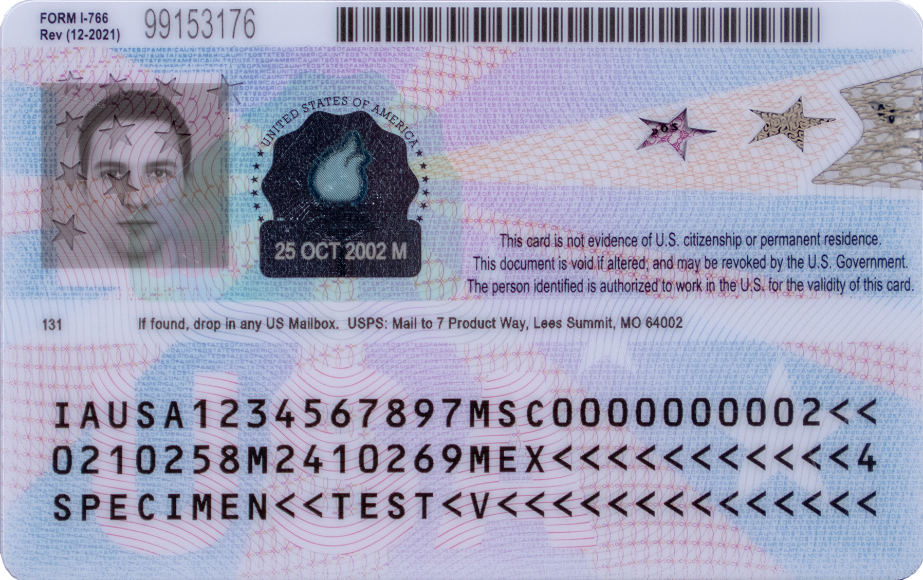 Back side of current United States Employment Authorization Card specimen (sample)